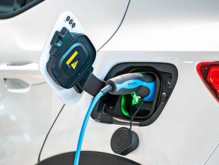 Hammer Elektrokompetenz
