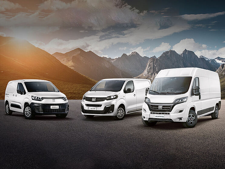 Fiat Professional Swiss Edition Range